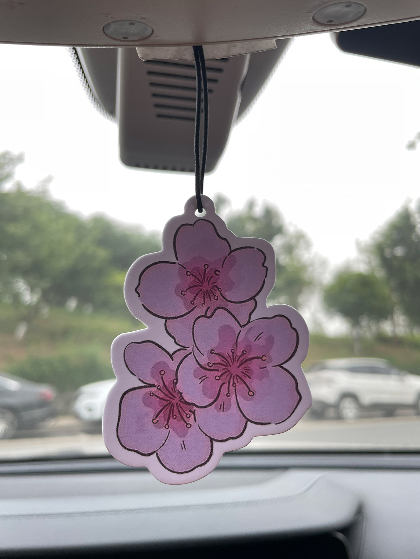 Profumo per auto a neutro prof - Home Fragrance Best recensione e prezzo
